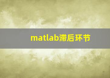 matlab滞后环节