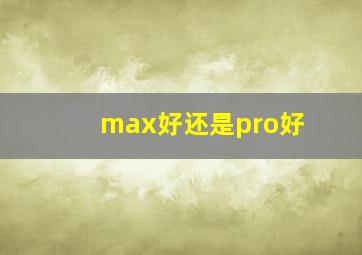 max好还是pro好