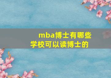 mba博士有哪些学校可以读博士的