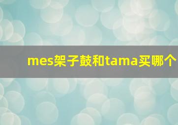 mes架子鼓和tama买哪个