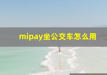 mipay坐公交车怎么用