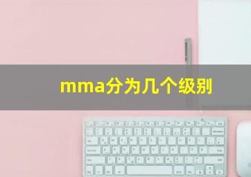 mma分为几个级别