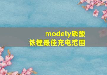 modely磷酸铁锂最佳充电范围