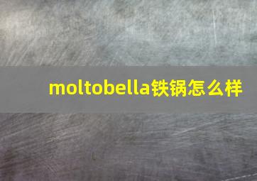 moltobella铁锅怎么样