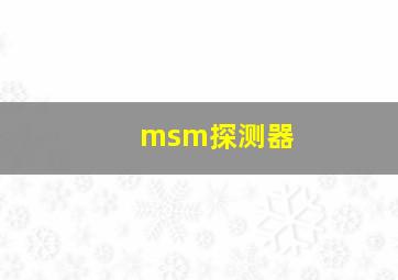 msm探测器