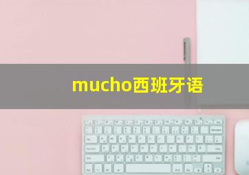 mucho西班牙语