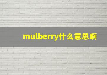 mulberry什么意思啊