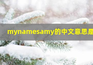 mynamesamy的中文意思是什么