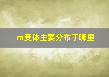 m受体主要分布于哪里