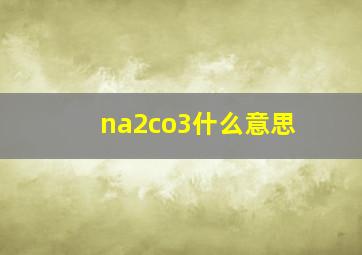 na2co3什么意思