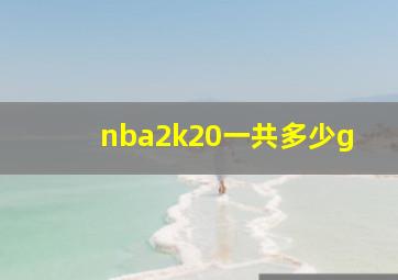 nba2k20一共多少g