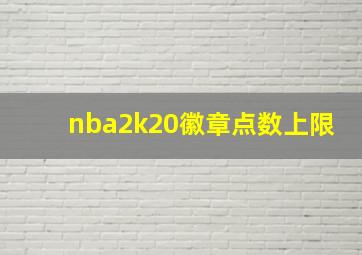 nba2k20徽章点数上限