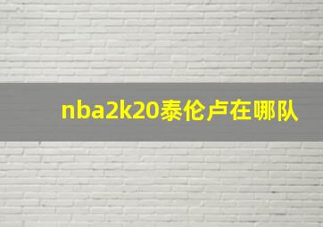 nba2k20泰伦卢在哪队