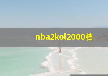 nba2kol2000档