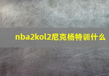 nba2kol2尼克杨特训什么