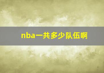 nba一共多少队伍啊