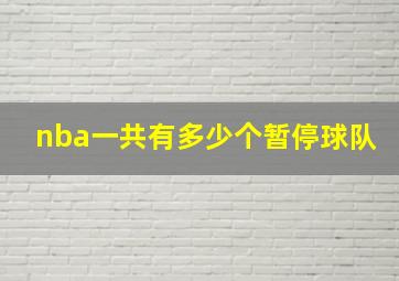 nba一共有多少个暂停球队