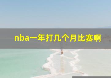 nba一年打几个月比赛啊