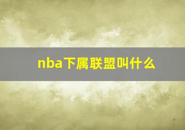 nba下属联盟叫什么