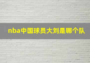 nba中国球员大刘是哪个队