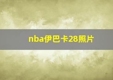 nba伊巴卡28照片