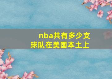 nba共有多少支球队在美国本土上