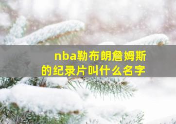 nba勒布朗詹姆斯的纪录片叫什么名字