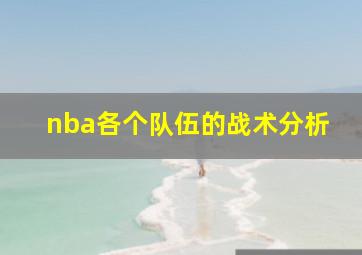 nba各个队伍的战术分析