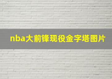 nba大前锋现役金字塔图片