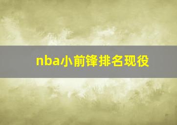 nba小前锋排名现役