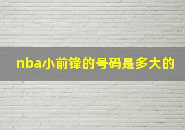 nba小前锋的号码是多大的