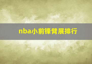 nba小前锋臂展排行