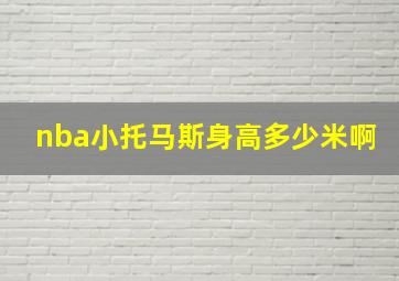 nba小托马斯身高多少米啊