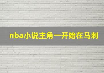 nba小说主角一开始在马刺