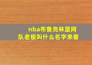 nba布鲁克林篮网队老板叫什么名字来着