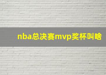 nba总决赛mvp奖杯叫啥