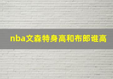 nba文森特身高和布郎谁高