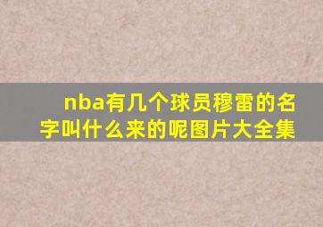 nba有几个球员穆雷的名字叫什么来的呢图片大全集