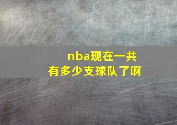 nba现在一共有多少支球队了啊