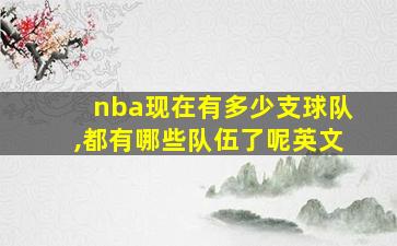 nba现在有多少支球队,都有哪些队伍了呢英文