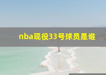 nba现役33号球员是谁