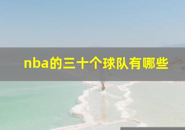 nba的三十个球队有哪些