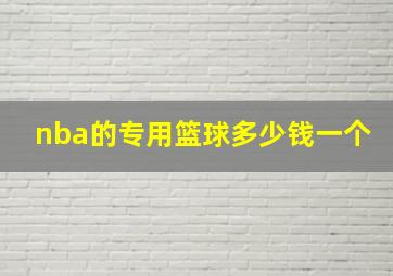 nba的专用篮球多少钱一个