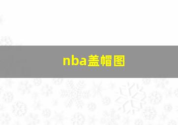 nba盖帽图