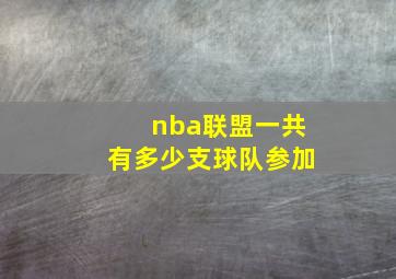 nba联盟一共有多少支球队参加