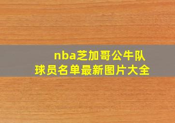 nba芝加哥公牛队球员名单最新图片大全