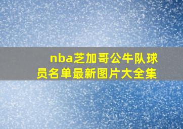 nba芝加哥公牛队球员名单最新图片大全集