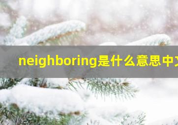 neighboring是什么意思中文