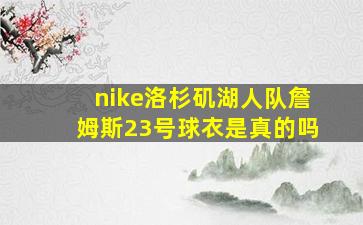 nike洛杉矶湖人队詹姆斯23号球衣是真的吗