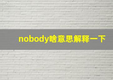 nobody啥意思解释一下